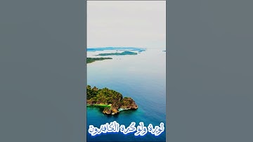 سورة التوبة و،،كانك تسمعها لأ..و،،ل مرة 💘💜. 🌸..💚💟؛،💮،،، 🌻💓بصوت الشيخ حمزة مد بو.ح ❣️..💮💚؛؛؛ 💖💕💔؛،، 💜