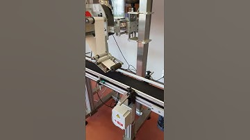 Euroetik 5004T Label Dispensing Machine with Motorized Conveyor 02