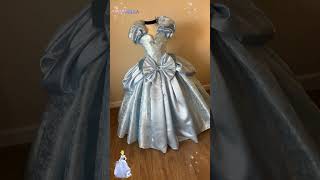 Princess Cinderella Theme Park Edition Tutu Dress