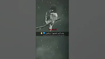 نغمات رنين للموبايل احلى رنات الهاتف 2023 اجمل نغمة رنين هاتف 2023 اجمل موسيقى حزينه 