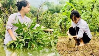 without parents - I had to pick wild vegetables and garden to survive