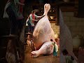 Chicken 🐓🐓🐓🐓🐓🐓#chiken #shorts #trending