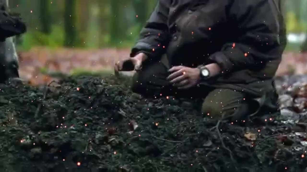 Thomas Brodie Sangster's Demons