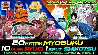 BAHAS LENGKAP 20 KATAK GUNUNG MYOBOKU 10 ULAR GUA RYUCHI DAN 1 SIPUT HUTAN SIKOTSU