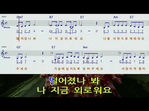   사랑의 배터리AM C하모니카MR숫자악보영상