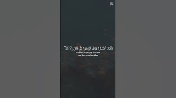 اكتب شيء تؤجر عليه ( القارئ ماهر المعيقلي)