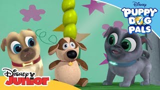 Stuffing a New Toy Ruff | Puppy Dog Pals |  Disney Channel Africa