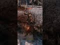 Blocking vs Perfect Deflect #sekiro #tutorial #twitch