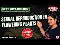 Sexual Reproduction in Flowering Plants in One Shot | NEET 2024 Biology | Pratigya Batch
