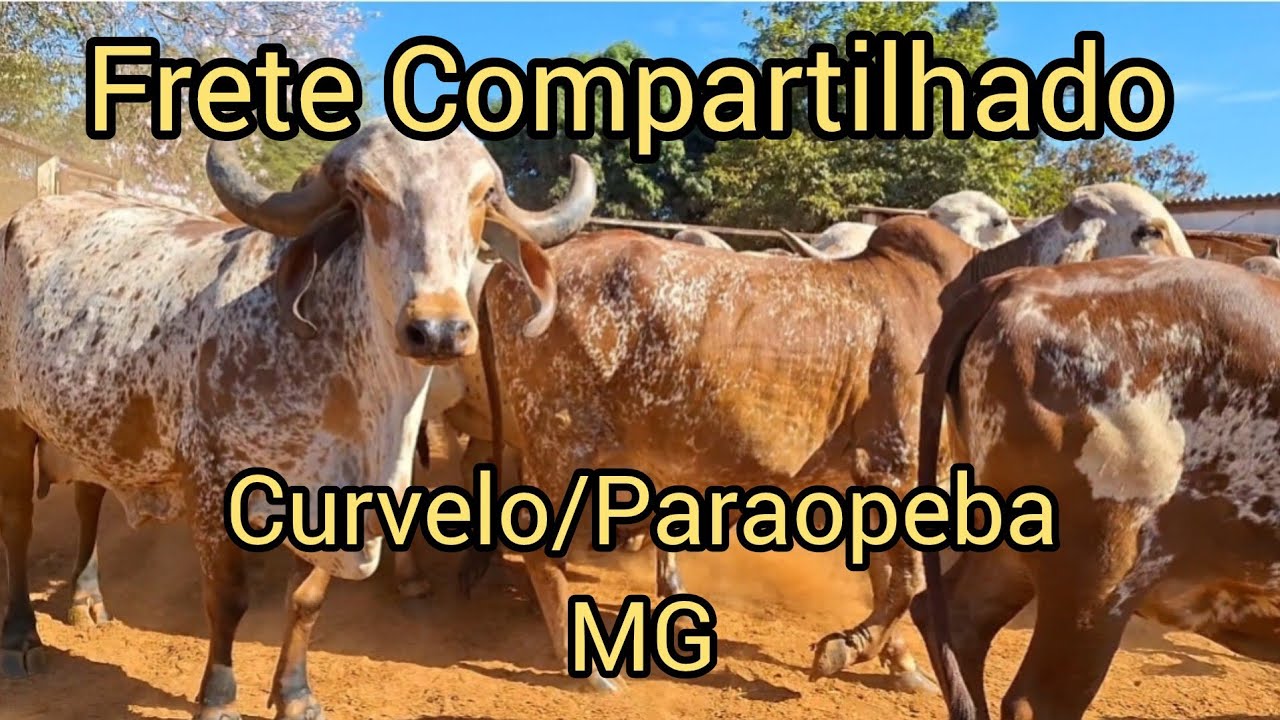 Viagem para Curvelo e Paraopeba,MG.🚚🚚🚚
