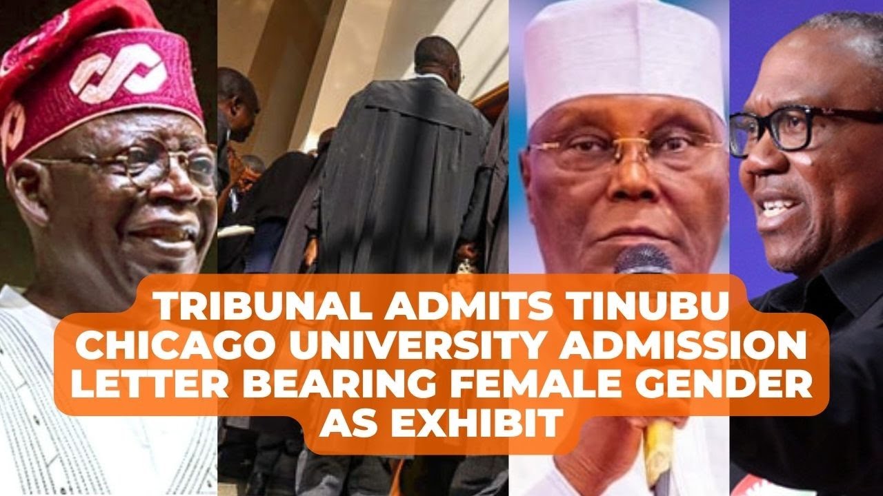 Tribunal Admits Tinubu Chicago University Admission Letter Bearing Female Gender as Exhibit