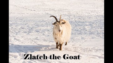 Zlateh The Goat by Isaac Bashevis Singer PART I