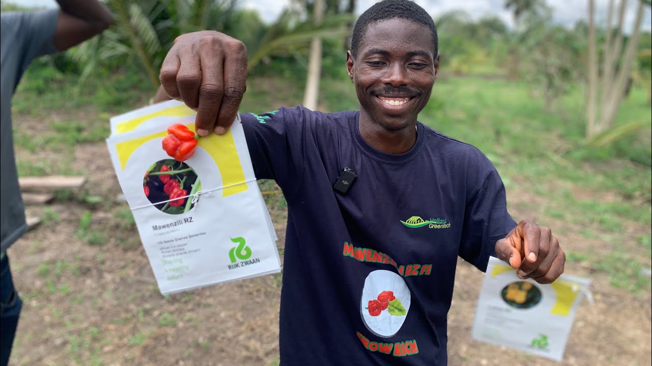 How To Seed Habaneros by Holland GreenTech : How to make 300k Growing Peppers 🌶️