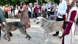 Horsens Middelalder 2024