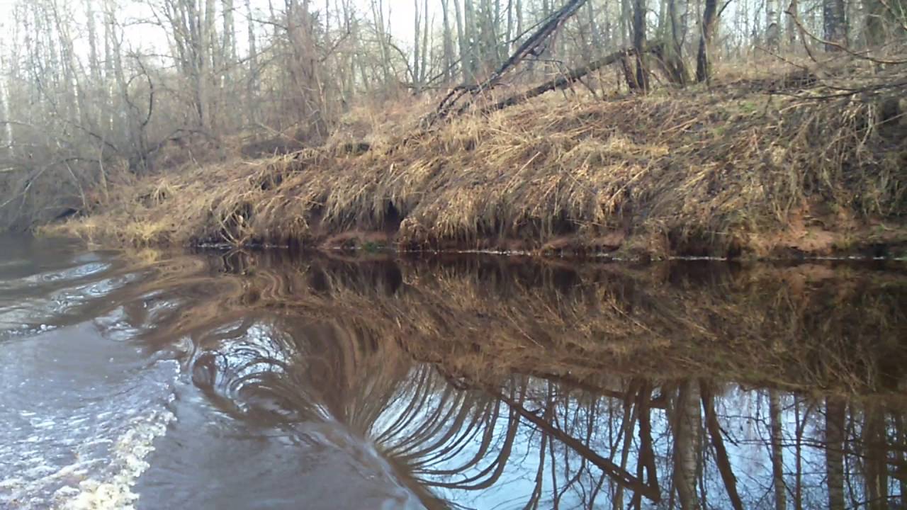 Глухая кересть деревня. Река кересть новгородская область. Погода кересть. Погода кересть. Река кересть чудово.