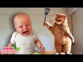 Best video of Cute Babies Playing with Dogs and Cats - Funny Baby and Pet || Cool Peachy 🍑