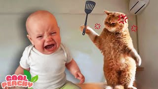 Best video of Cute Babies Playing with Dogs and Cats - Funny Baby and Pet || Cool Peachy 🍑
