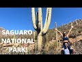 King’s Canyon Trail | Saguaro National Park, Arizona