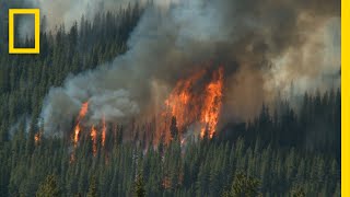 Wildfires 101 | National Geographic