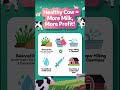 🥛 Dairy Farming – Best Tips to Increase Milk Production