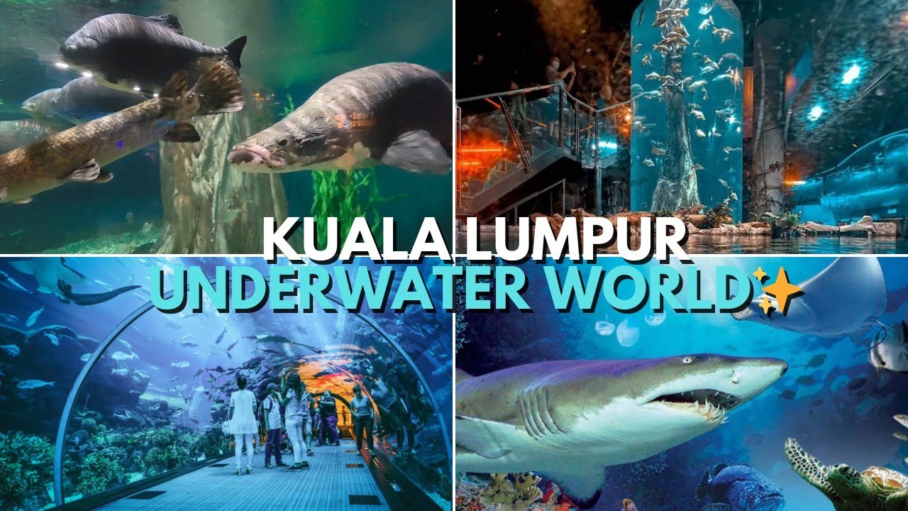 55. 🌊 Dive Into AQUARIA KLCC Most Stunning Underwater World 🐠 | THỦY CUNG MALAYSIA/ Y SQUARE channel