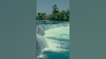 تلاوة خاشعه للشيخ محمد صديق المنشاوي #المنشاوي #تلاوة_خاشعة #تلاوات #الله #ترند #لايك #دويتو #قرآن