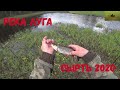 река Луга, поиски сырти, фидер, б.Сабск, весна 2020