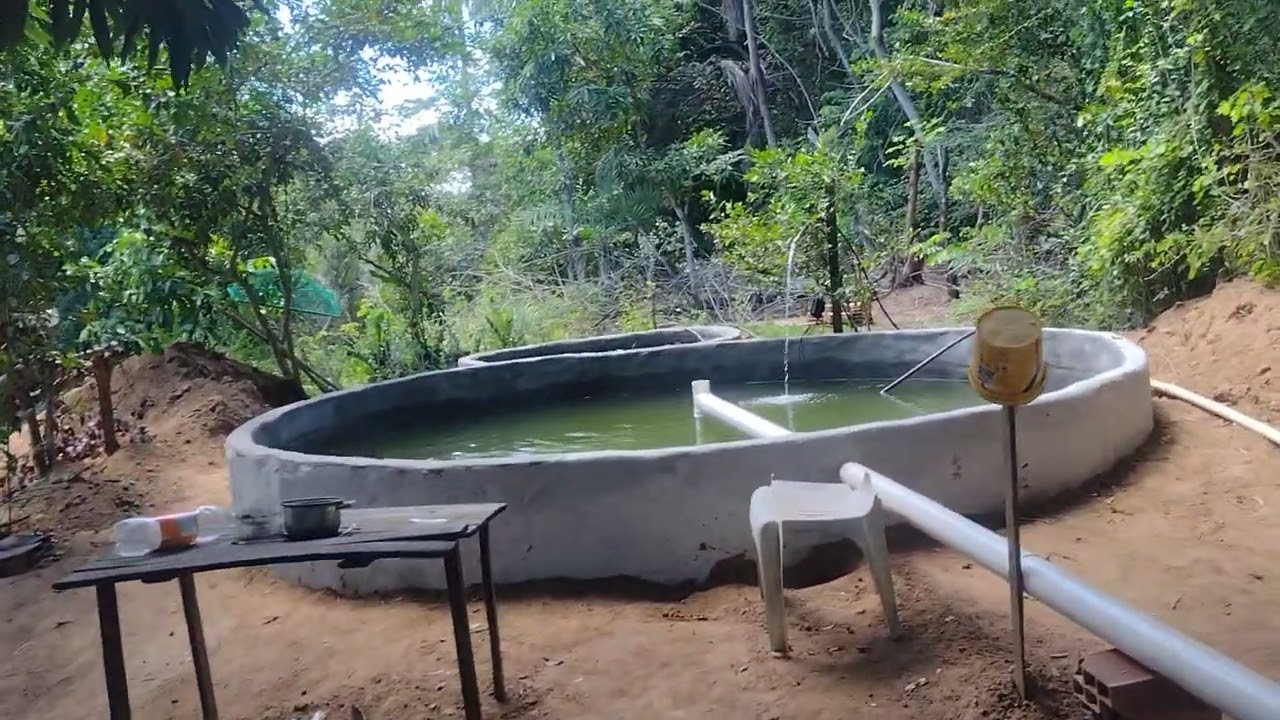 Concluímos o tanque dos pangas