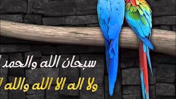 سورة القارعة بصوت عامر الكاظمي