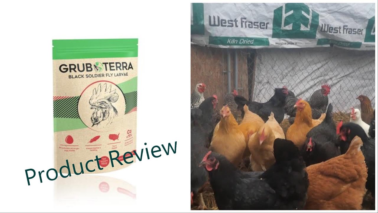 Grub Terra Product Review