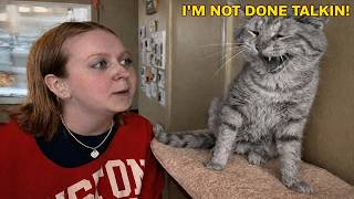 The Cat Lay Down And Began…To Give a Lecture! 🐱 | Funniest Talking Cat Ever screenshot 4