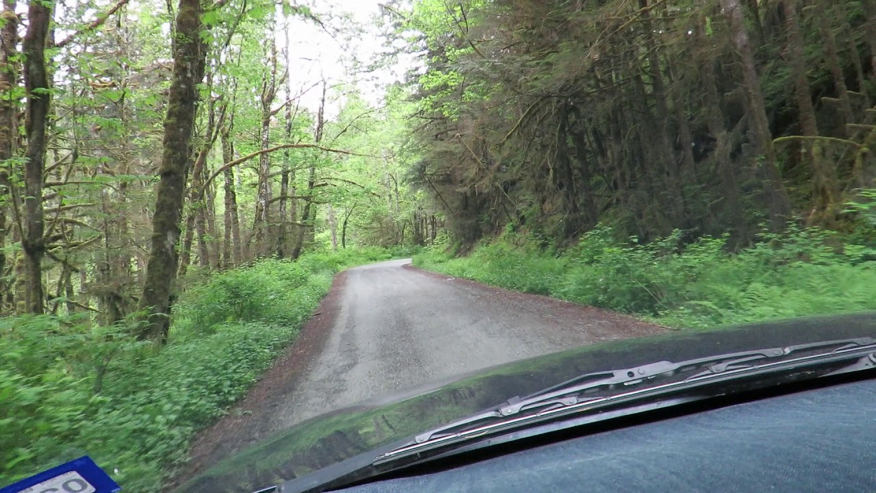 Baker Lake Rd the base of Mt Baker 5/15/20 MVI 2770 YouTube