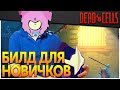 Dead Cells | Лучший билд для новичков