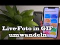 Live Foto in GIF umwandeln | iPhone GIF erstellen | GIF aus Video | German/Deutsch #Shorts