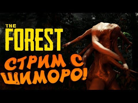 видео: СТРИМ С ШИМОРО! - ПОБОЛТАЕМ? - The Forest ( ХАРДКОР )