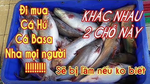 tập 58 |Cách nhận biết cá Hú và cá Basa , giá cả cá nàng 2, tôm thẻ, cá biển | chợ Bình Điền