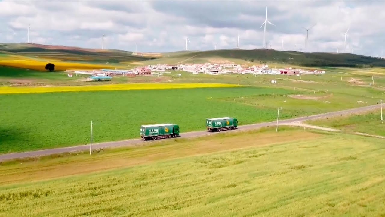 Over 300,000 logistics service stations built in China's rural areas