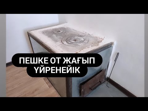 Бейне: Тозаңсыз күнбағыс туралы ақпарат – кесуге арналған тамаша күнбағыс туралы біліңіз