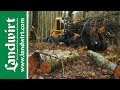 Holz - das Naturtalent | landwirt.com