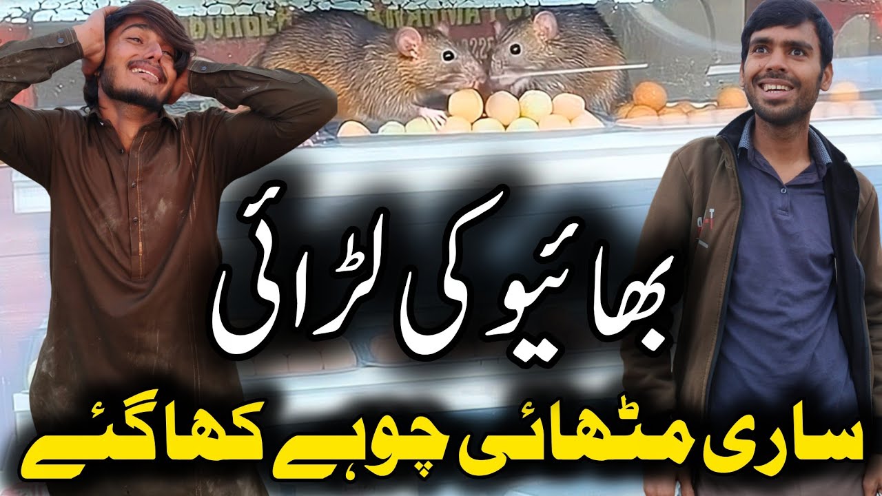 Rasgulla Fight at Sweet Shop 😱 | Brother’s Insult Turns Into Revenge | Rats Eat All Sweets 😂