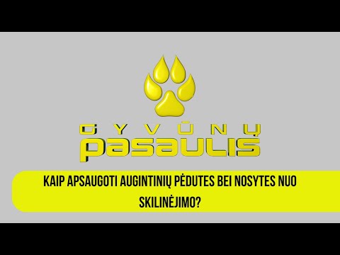 Video: Kaip Apsaugoti Puslapį