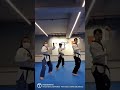 Taekwondo Shorts Pink Venom Taekwondo Shorts Pink Venom