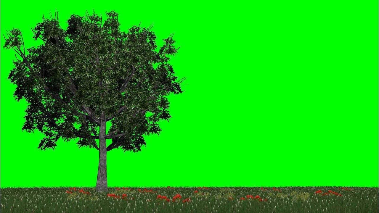 Magic Effects Green Screen Magic blue Effect Magic Effect HD Green Screen YouT