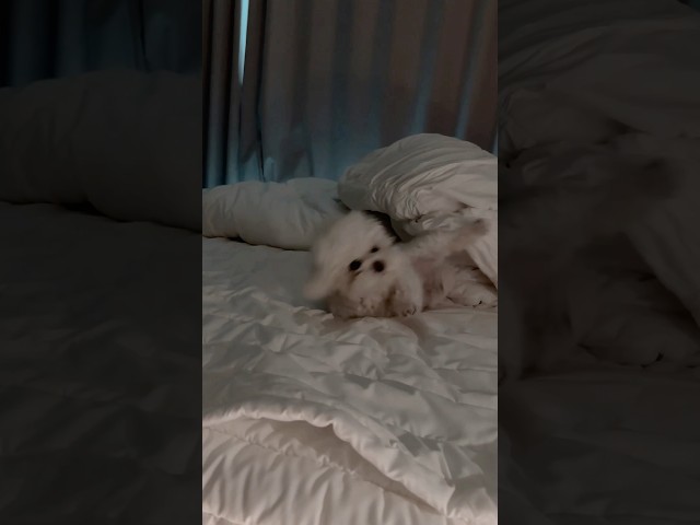 깜짝이야 !