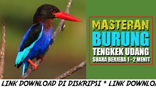 Download Lagu TENGKEK UDANG SPEED RAPET SEJALUR - MATERAN MURAI BATU MP3