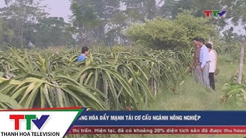 Hoằng Hóa đẩy mạnh tái cơ cấu ngành nông nghiệp.