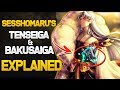 Explaining Sesshomaru's Tenseiga and Bakusaiga | InuYasha Explained