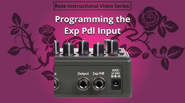 13. Eventide Rose - Programming the Exp Pdl (expression pedal) input