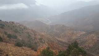 Esme Deli̇ Rüzgar Esme Resimi