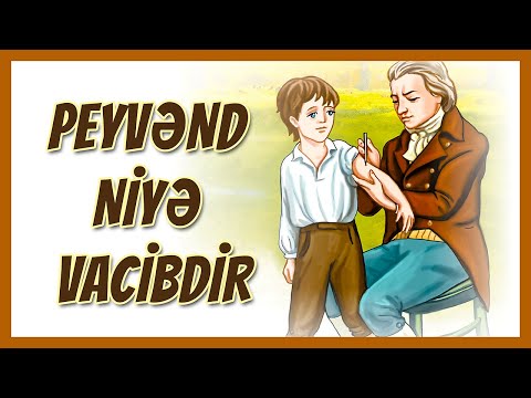 Video: Biokütlə niyə pisdir?